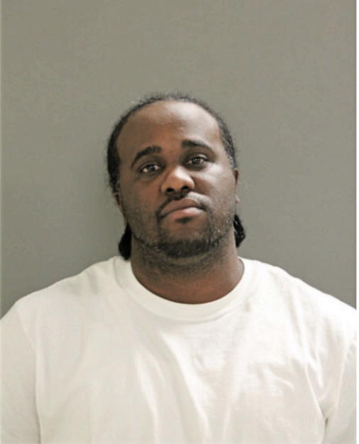 RYAN C BRUCE, Cook County, Illinois