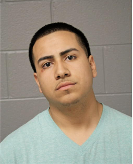 FLAVIO C CAMARGO, Cook County, Illinois