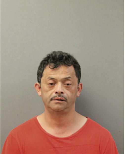 DANTE L CARRANZA, Cook County, Illinois