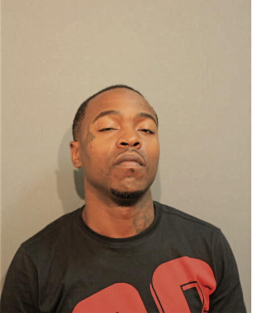 VINCENT R DAVIDSON, Cook County, Illinois