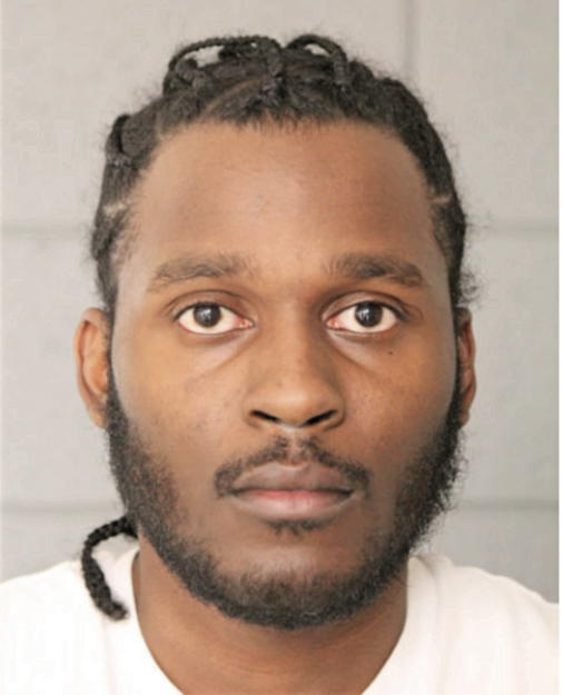 JERAMI C DAVIS, Cook County, Illinois