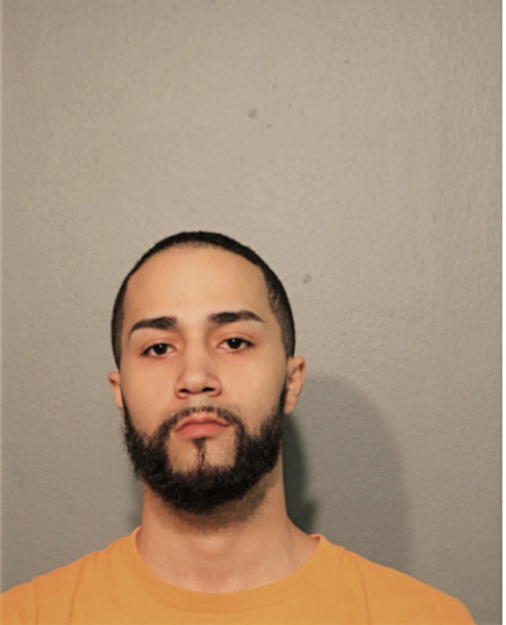 ANDREW J DELGADO, Cook County, Illinois