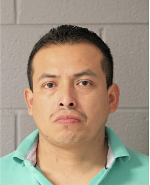 MISAEL A FLORES, Cook County, Illinois