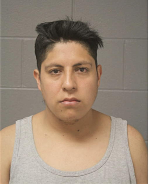 JUAN CARLOS GARCIA, Cook County, Illinois