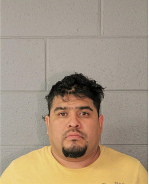 LEONEL GONZALEZ, Cook County, Illinois