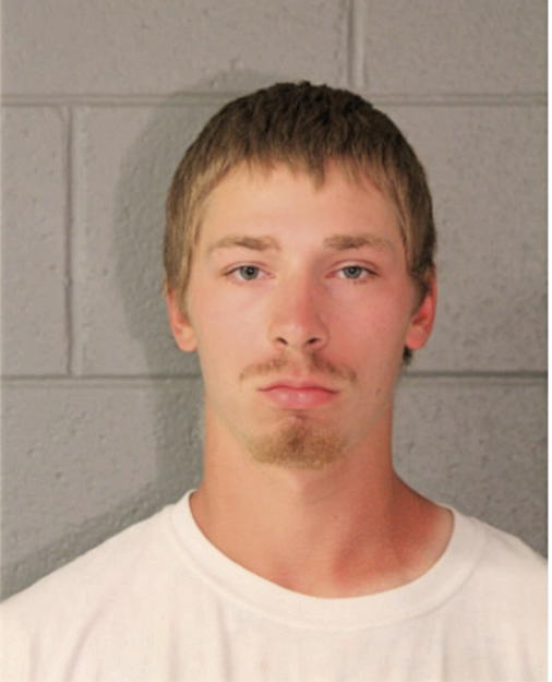 SHAWN A GRZELINSKI, Cook County, Illinois