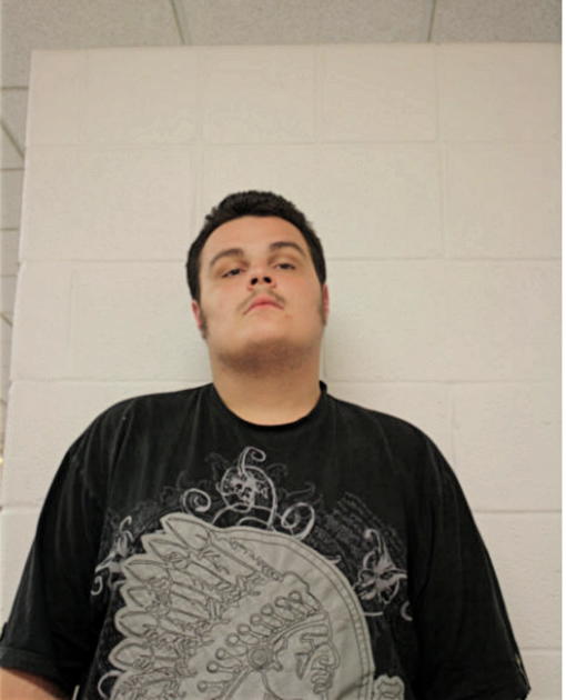 JUSTIN ROSS HOFFMAN, Cook County, Illinois