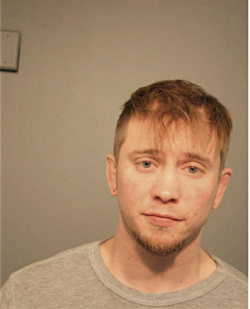 ANDREW A LEE, Cook County, Illinois