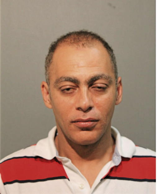 AHMED H MOHAMED, Cook County, Illinois