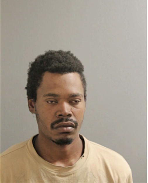 ERIC T NELLEM, Cook County, Illinois