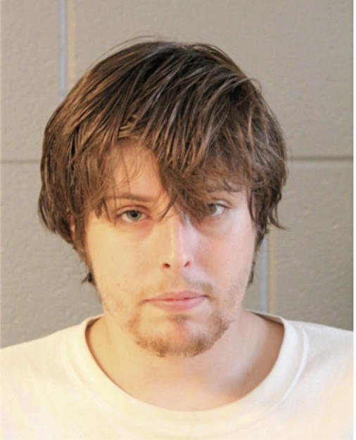 ROBERT L OSTROWSKI, Cook County, Illinois