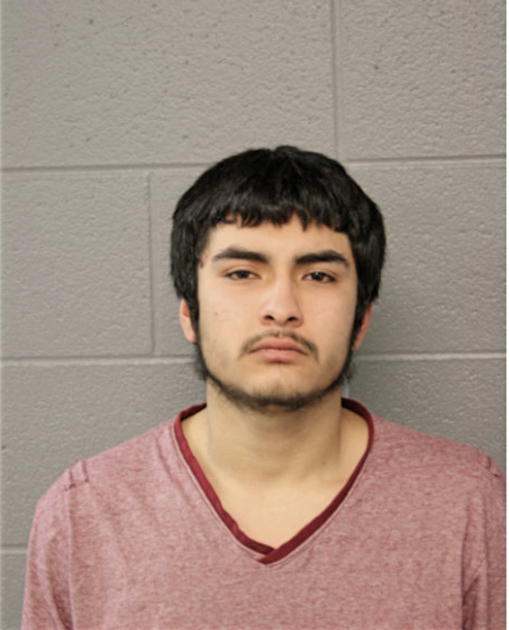 MICHAEL SALGADO, Cook County, Illinois