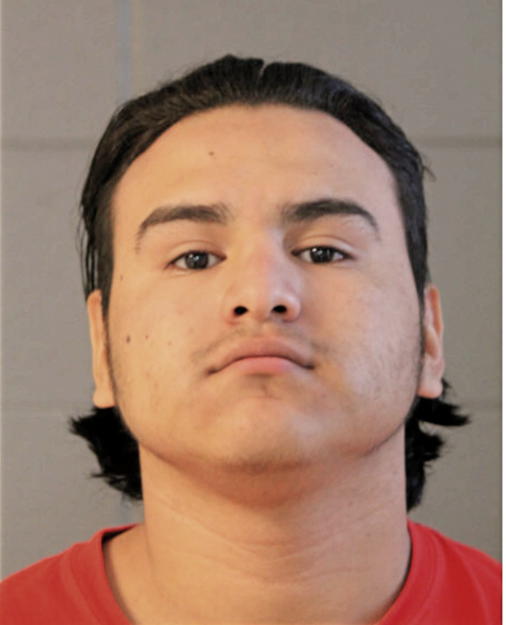 JORGE A SALINAS, Cook County, Illinois