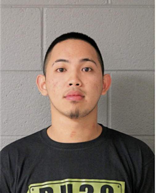 JAN-CARLO P SANTOS, Cook County, Illinois