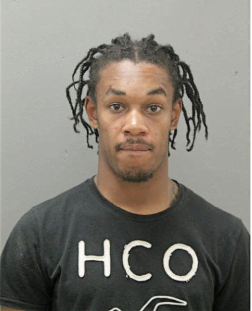 XAVIER A VANE, Cook County, Illinois