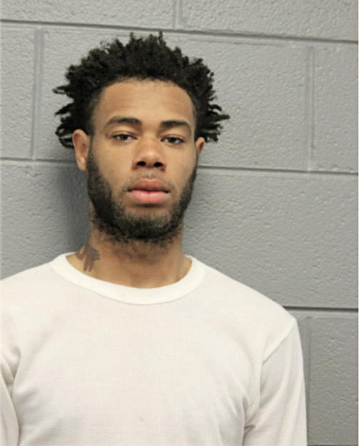 ANTWON D WEBSTER, Cook County, Illinois