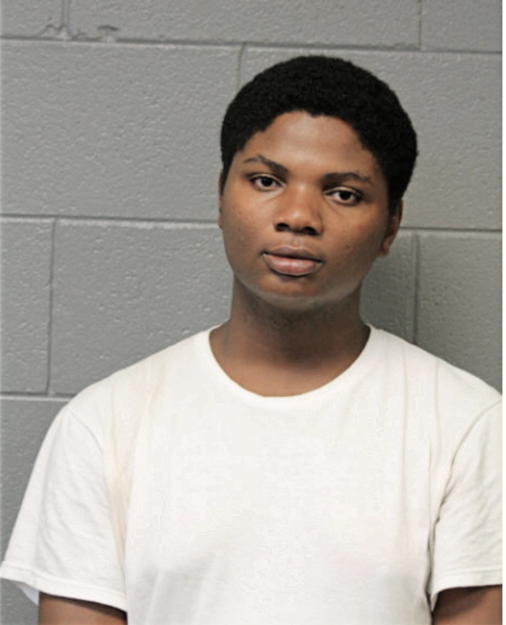 MARCIA S WILSON, Cook County, Illinois