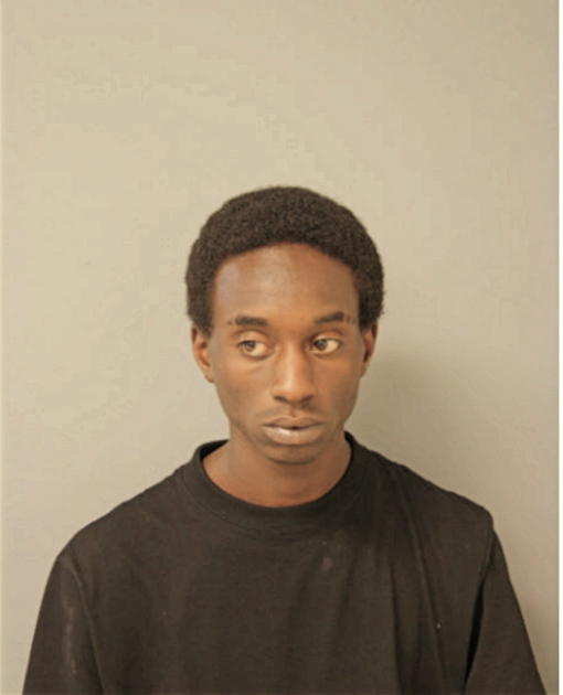 REGINALD J WILSON, Cook County, Illinois