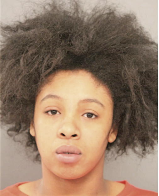 IZEHINOMEN O AGBOGUN, Cook County, Illinois
