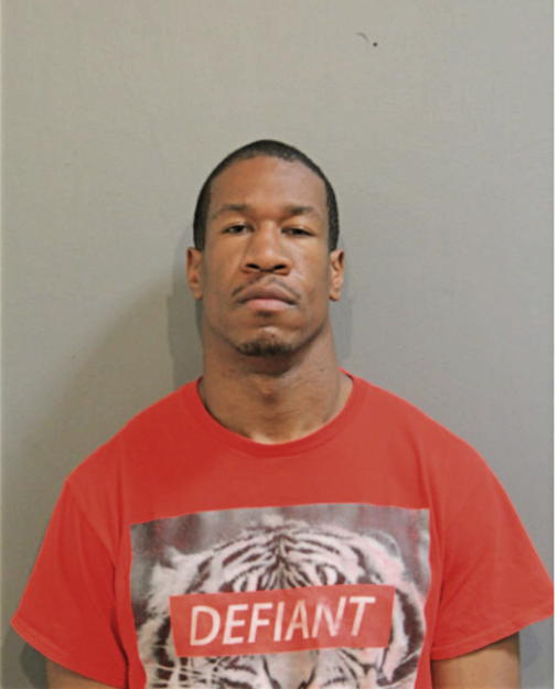 MATTHEW R ANDERSON, Cook County, Illinois