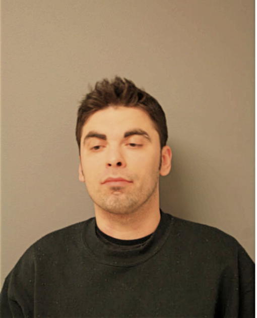 PETAR BESLIC, Cook County, Illinois