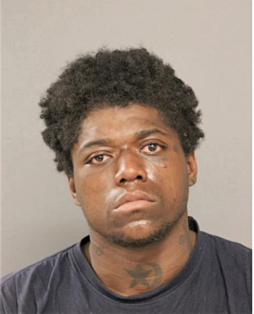 WILLIS L BLEDSOE, Cook County, Illinois
