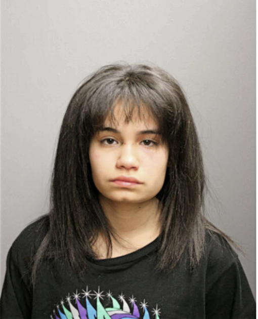 NANCY A DEL VALLE, Cook County, Illinois