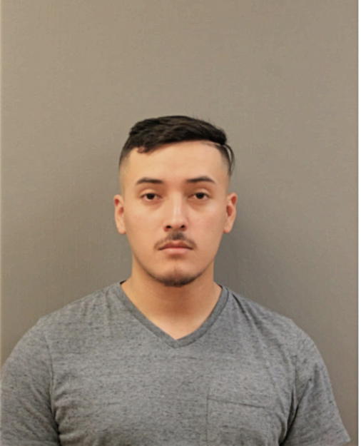 JOSE L FLORES, Cook County, Illinois