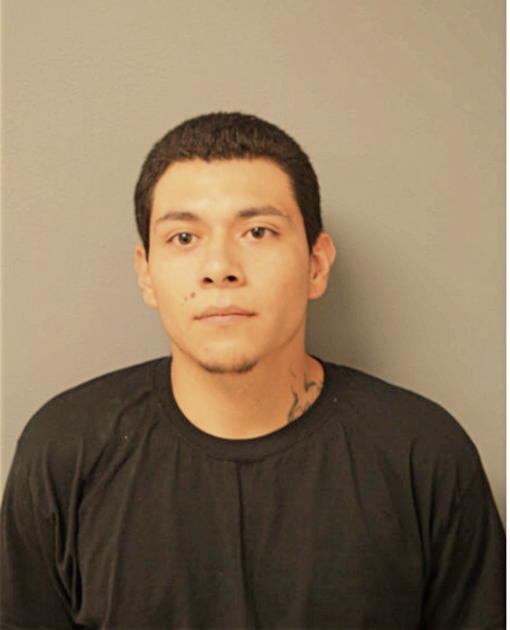 JULIAN HERNANDEZ JR, Cook County, Illinois