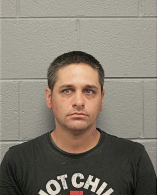 DANIEL J LENA, Cook County, Illinois
