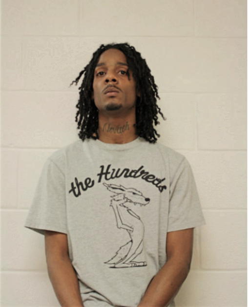 DAMIEN L LOGAN, Cook County, Illinois