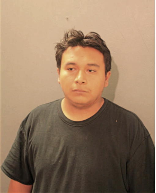 DAVID A LORENZO, Cook County, Illinois