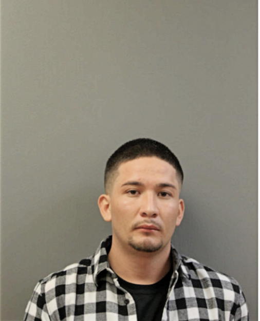 JONATHAN A LUNA-TREJO, Cook County, Illinois