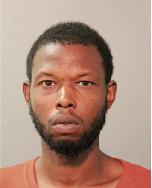 NICCO R MCGEE, Cook County, Illinois