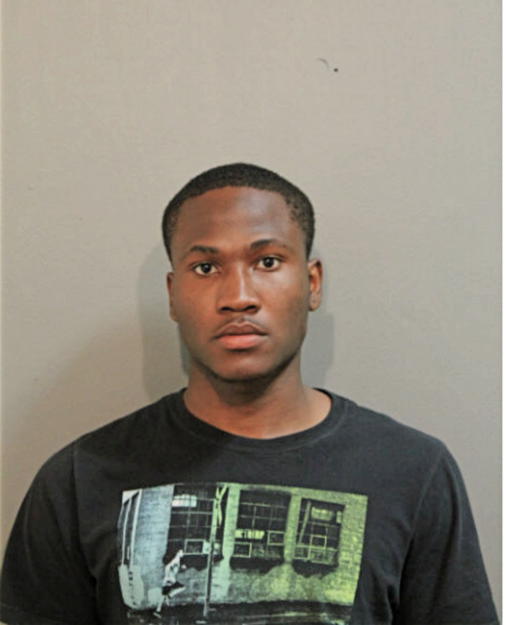 MICHAEL T MORGAN, Cook County, Illinois