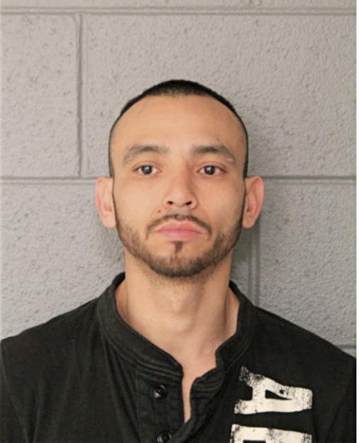 JUAN J NAVARRO, Cook County, Illinois