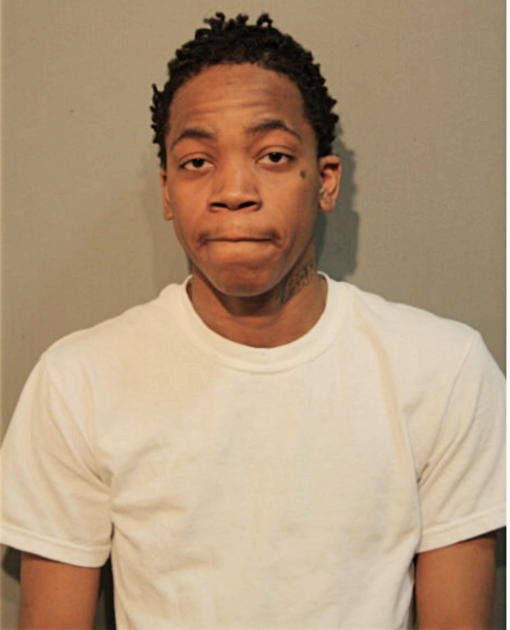 BRANDON NICHOLAS PAUL, Cook County, Illinois