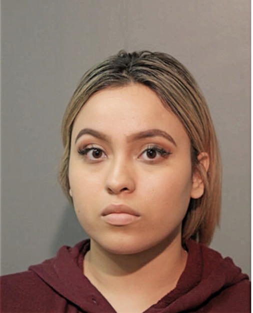 NATALIE M POTEMPA, Cook County, Illinois