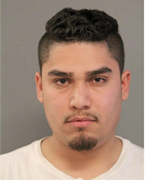 ALBERTO M RAMIREZ, Cook County, Illinois