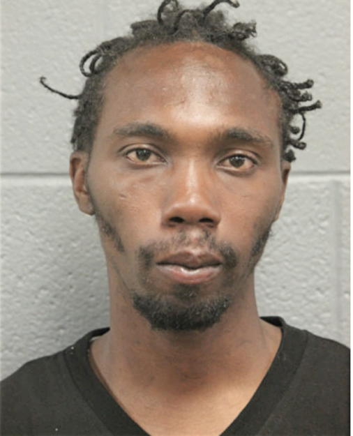 JOE L ROSS, Cook County, Illinois