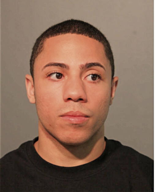 ARMAN F RUIZ, Cook County, Illinois