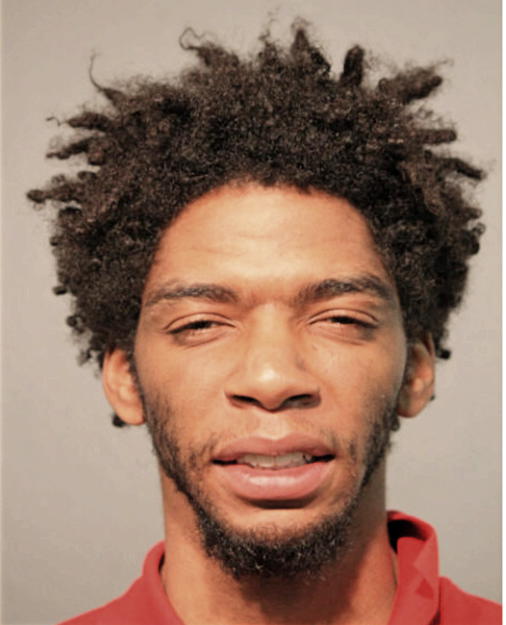 DANIEL WOODS, Cook County, Illinois