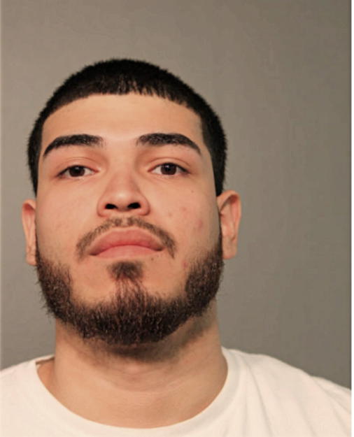 LUIS G AVILA, Cook County, Illinois