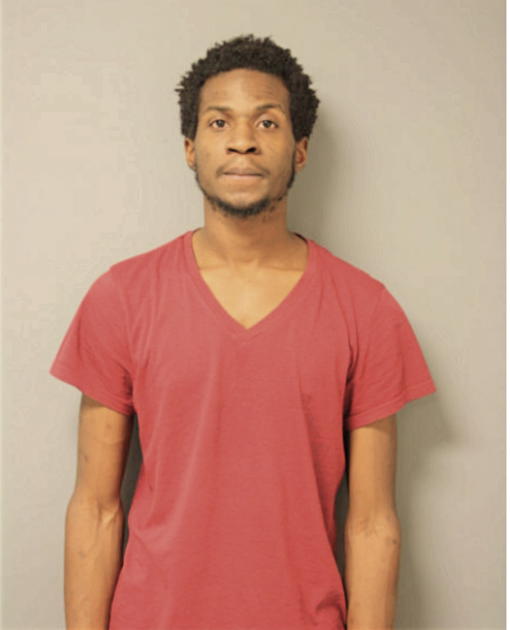 NICOLAS D BIBBS, Cook County, Illinois