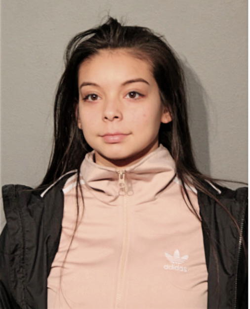 YULISSA R DEJESUS, Cook County, Illinois