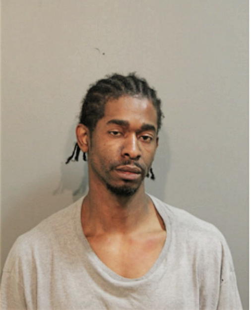 MICHAEL B FABER, Cook County, Illinois