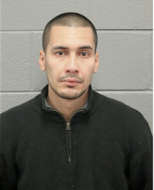EDNER FLORES, Cook County, Illinois