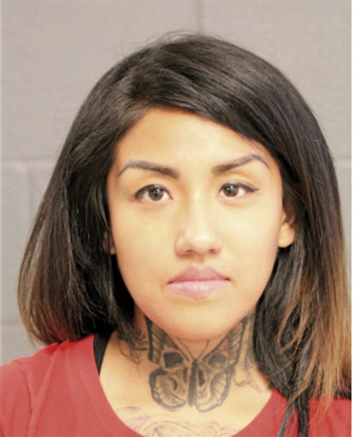 ELIZABETH GARCIA, Cook County, Illinois