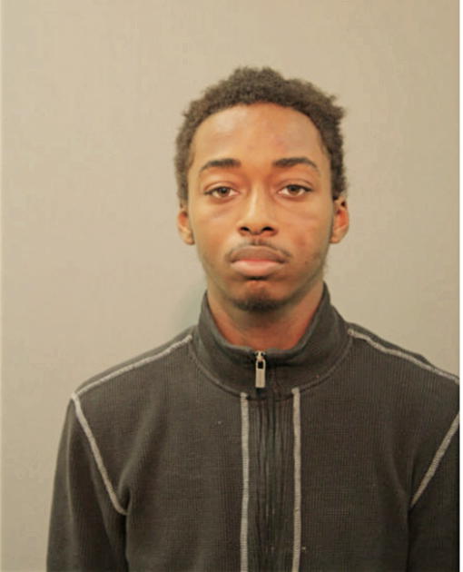 GARY S GIBSON, Cook County, Illinois