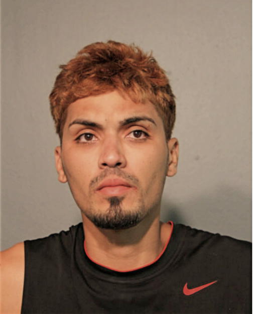 FRANCISCO GONZALEZ, Cook County, Illinois